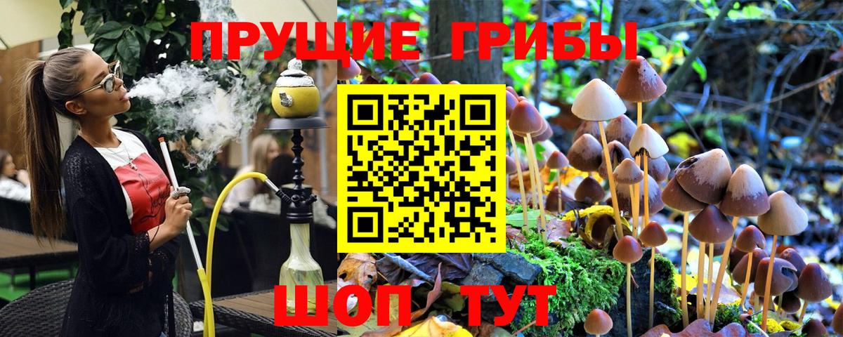 Галлюциногенные грибы GOLDEN TEACHER Артём