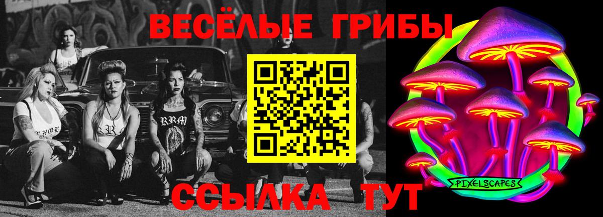 Галлюциногенные грибы Cubensis  Артём 