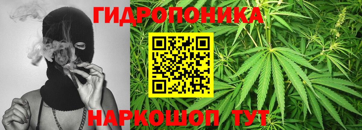 Артём  Бошки Шишки White Widow  Бошки марихуана SATIVA & INDICA  Шишки марихуана план  Вход с VPN  Марихуана Bruce Banner 